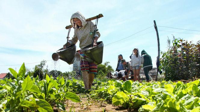 Thử sức gánh nước tưới rau, nhìn dễ mà không dễ chút nào.