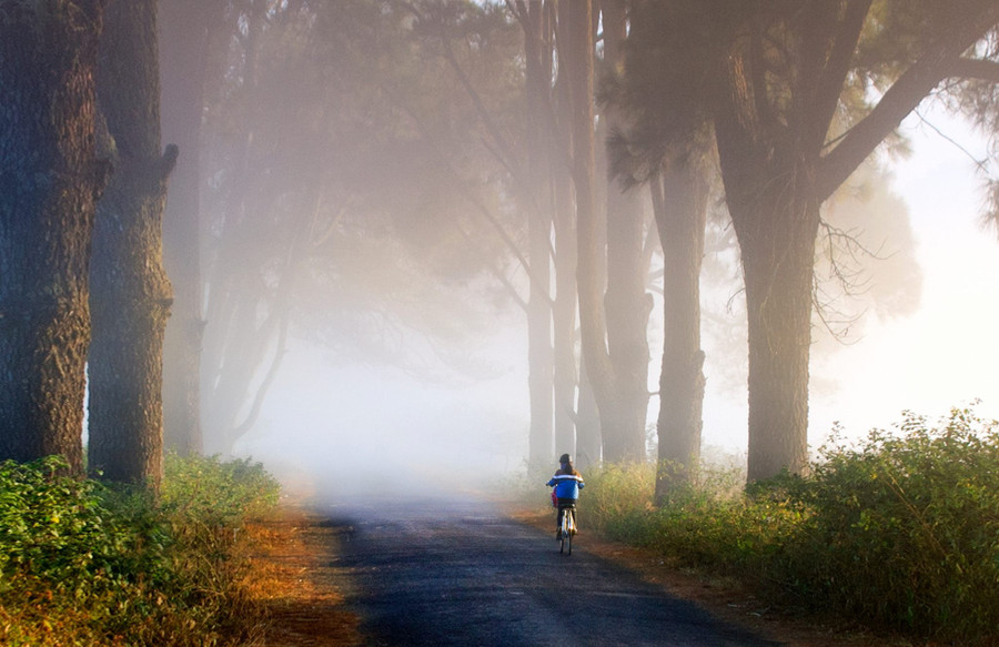 Pleiku đẹp lắm những con đường