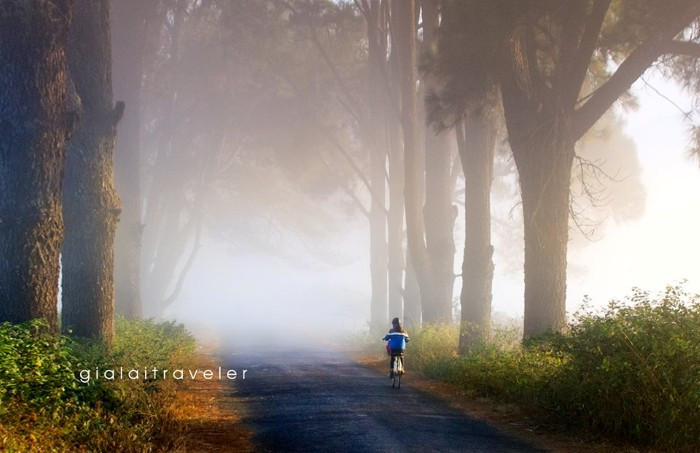 Đường tới nơi đây hẳn là cổ tích