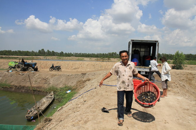Trang trại nuôi tôm càng xanh của ông Hai Tự. Trang trại nuôi tôm càng xanh của ông Hai Tự.