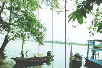 Ảnh minh họa (Internet).