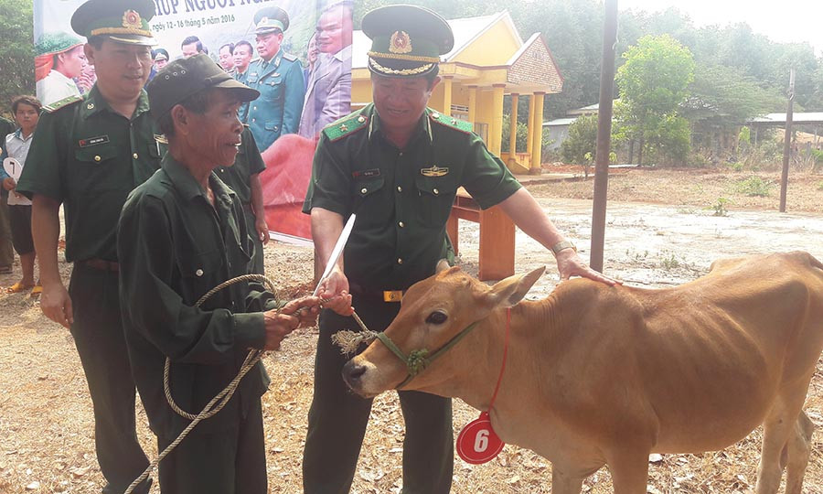 Hộ nghèo của xã Ia O được hỗ trợ bò giống. Ảnh: P.D  Hộ nghèo của xã Ia O được hỗ trợ bò giống. Ảnh: P.D
