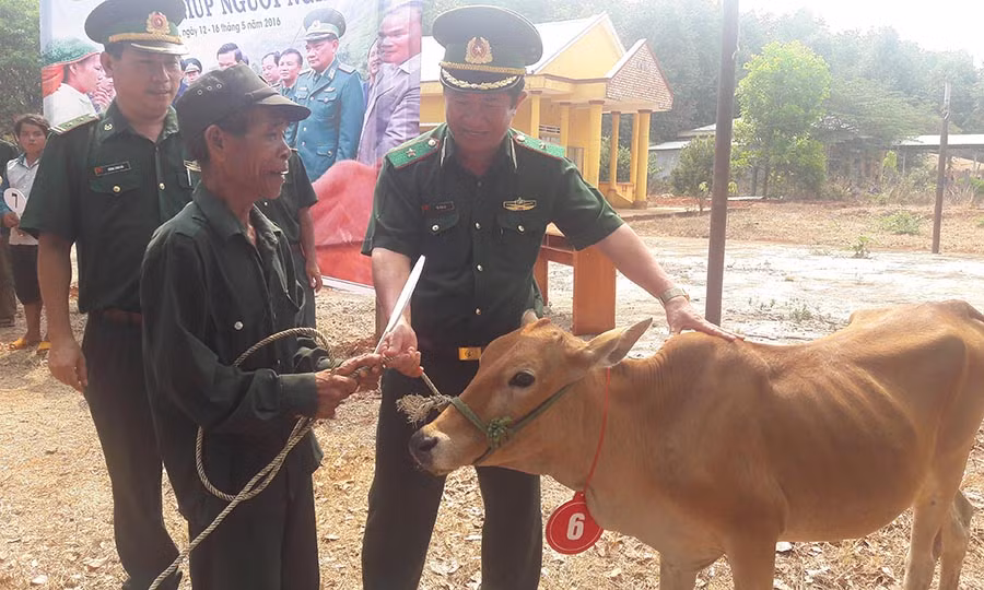  Hộ nghèo của xã Ia O được hỗ trợ bò giống. Ảnh: P.D