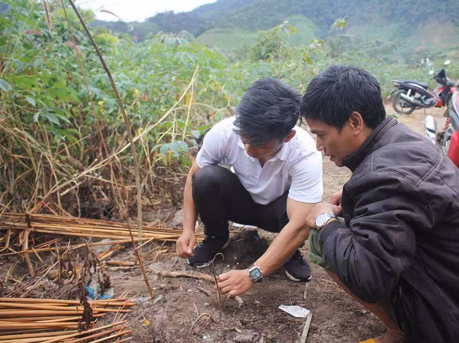  Thợ săn chuột rừng hướng dẫn cách đặt bẫy. Ảnh: H.P