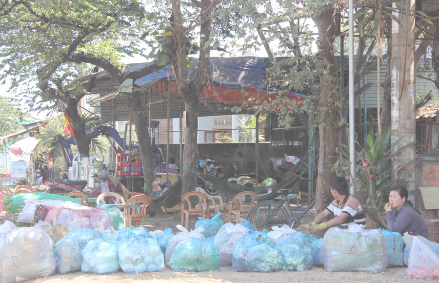 Rau chuẩn bị xuất ra ngoài tỉnh. Ảnh: Nguyễn Diệp