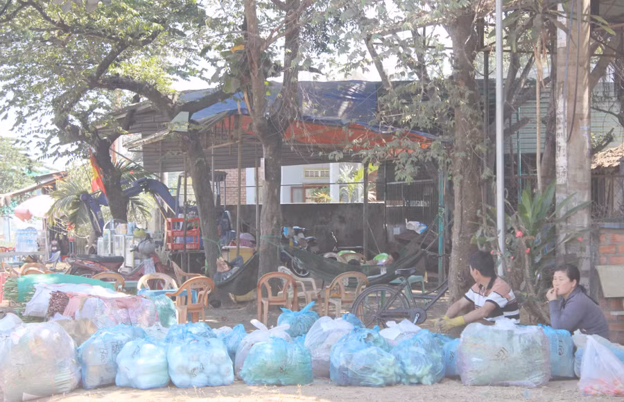 Rau chuẩn bị xuất ra ngoài tỉnh. Ảnh: Nguyễn Diệp