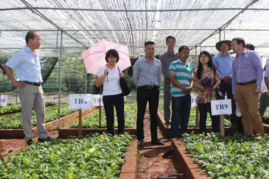  Đoàn cán bộ Dự án Trung ương kiểm tra một vườn ươm cà phê đạt chuẩn. Ảnh: N.D