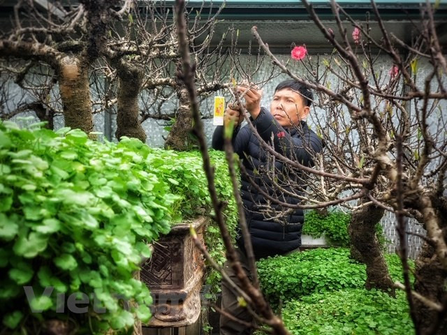  'Gã gàn' Lê Hàm cho biết (Ảnh: Tố Linh/Vietnam+)