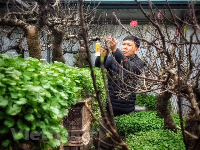 'Gã gàn' Lê Hàm cho biết (Ảnh: Tố Linh/Vietnam+) 'Gã gàn' Lê Hàm cho biết (Ảnh: Tố Linh/Vietnam+)