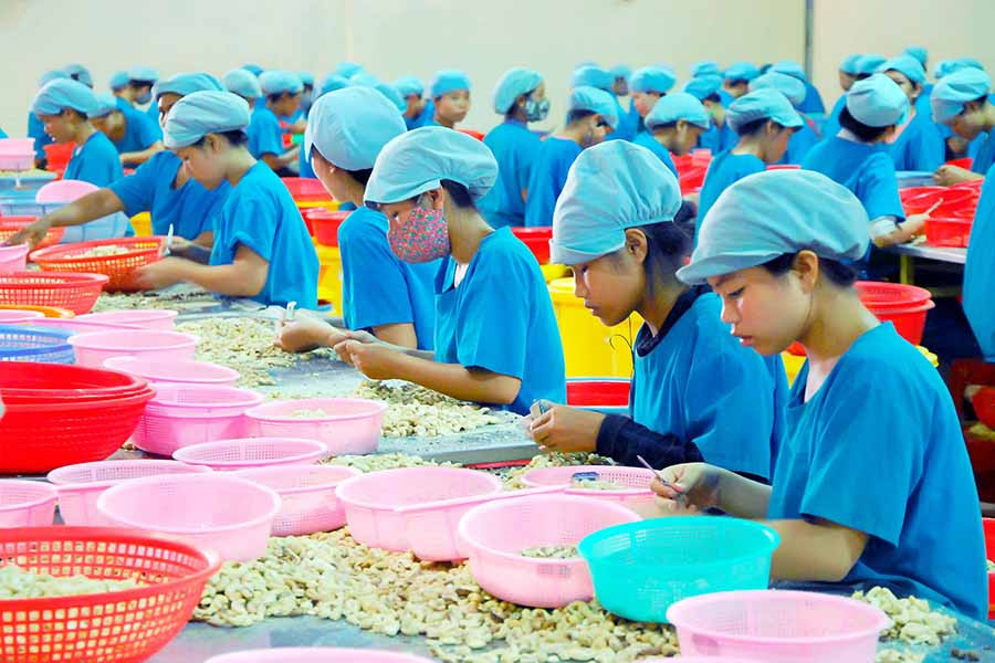  Gia Lai có thế mạnh về phát triển công nghiệp chế biến sản phẩm nông nghiệp đa dạng và phong phú. Ảnh: Đ.T