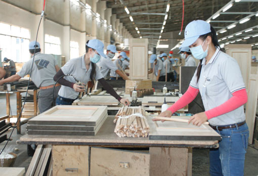 Chế biến gỗ hiện đại và bảo vệ môi trường bền vững bằng trồng rừng gỗ lớn là mục tiêu đúng đắn mà Việt Nam nói chung, Gia Lai nói riêng đang hướng đến