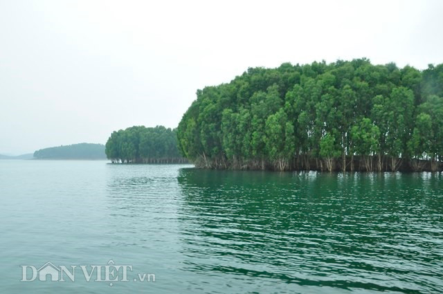  Trước khi ngăn sông đắp đập, những hòn đảo 