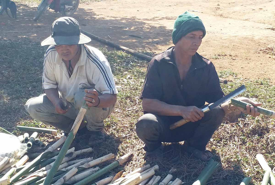 Chặt lồ ô để làm món cơm lam. Ảnh: Ngọc Sang