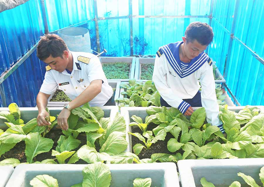 Cán bộ, chiến sĩ trồng rau trên đảo. Ảnh: T.H Cán bộ, chiến sĩ trồng rau trên đảo. Ảnh: T.H
