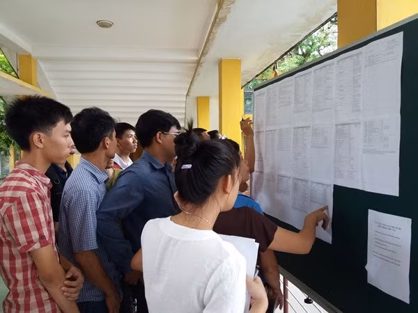  Thí sinh xem thông tin tuyển sinh đại học. (Ảnh: PM/Vietnam+)