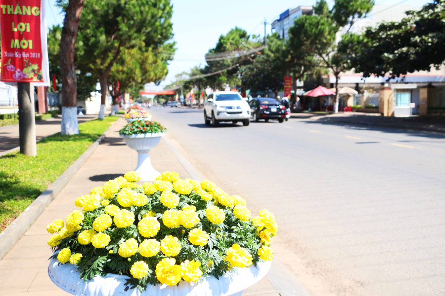 Các tuyến đường chính của Pleiku được trang trí với nhiều chậu hoa đủ màu sắc. Ảnh: Quang Tấn Các tuyến đường chính của Pleiku được trang trí với nhiều chậu hoa đủ màu sắc. Ảnh: Quang Tấn