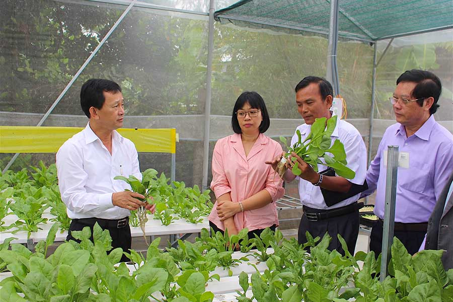 Tập trung đẩy mạnh phát triển nông nghiệp công nghệ cao. Ảnh: Mộc Trà