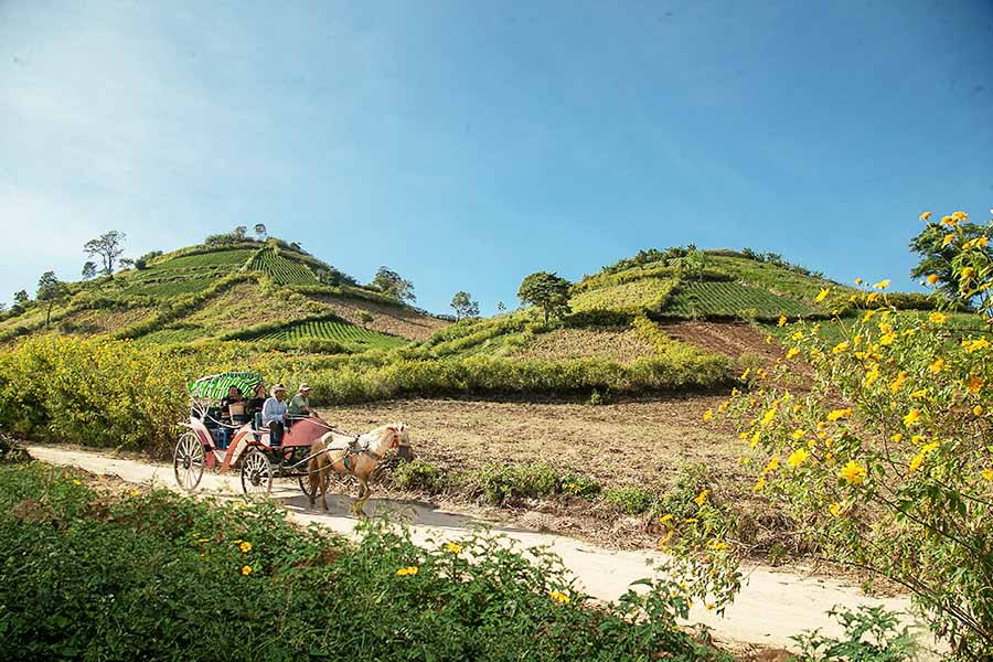 Núi lửa Chư Đăng Ya. Ảnh: N.L.V.Q  Núi lửa Chư Đăng Ya. Ảnh: NGUYỄN LINH VINH QUỐC