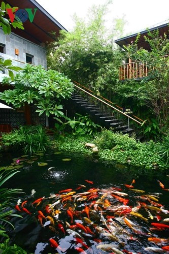 Mặt nước góp phần làm mát không gian và đàn cá tô điểm một cách sinh động cho không gian xanh.