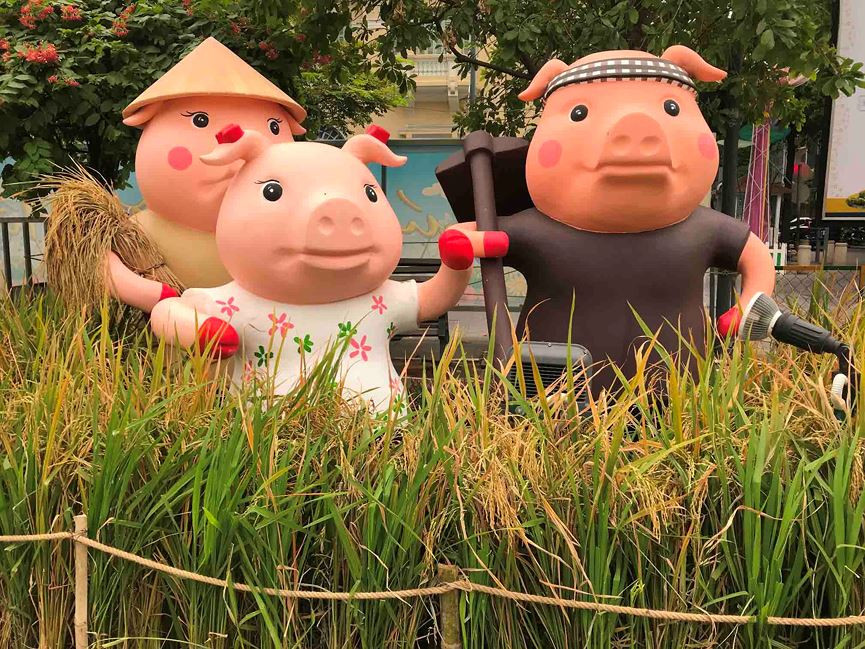 Gia đình nông dân heo với ruộng lúa trĩu bông thể hiện một vụ mùa bội thu.