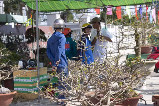 Tranh thủ những ngày được nghỉ, ngư dân đi mua sắm Tết
