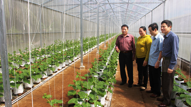 Gia đình anh Bùi Thanh Phương, ở xã An Ngãi Trung, H.Ba Tri, tỉnh Bến Tre, khởi nghiệp bằng nông nghiệp sạch sau khi có vốn liếng từ việc đi xuất khẩu lao động