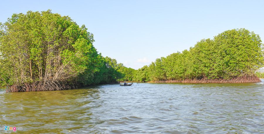  Rừng ngập mặn ở Cồn Chim hàng chục năm tuổi gồm đưng, đước, sú vẹt… tạo nên hệ sinh thái đa dạng, môi trường sống trong lành cho tôm, cua, cá không ngừng sinh sôi nảy nở; các loài cò, chim le le, sếu… từ khắp nơi quần tụ về đây sinh sống.