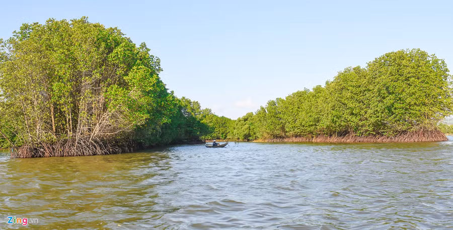  Rừng ngập mặn ở Cồn Chim hàng chục năm tuổi gồm đưng, đước, sú vẹt… tạo nên hệ sinh thái đa dạng, môi trường sống trong lành cho tôm, cua, cá không ngừng sinh sôi nảy nở; các loài cò, chim le le, sếu… từ khắp nơi quần tụ về đây sinh sống.