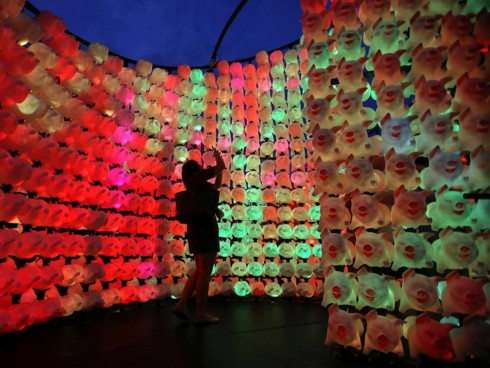 Trang trí hình chú lợn ở Sydney. (Ảnh: EPA) Trang trí hình chú lợn ở Sydney. (Ảnh: EPA)