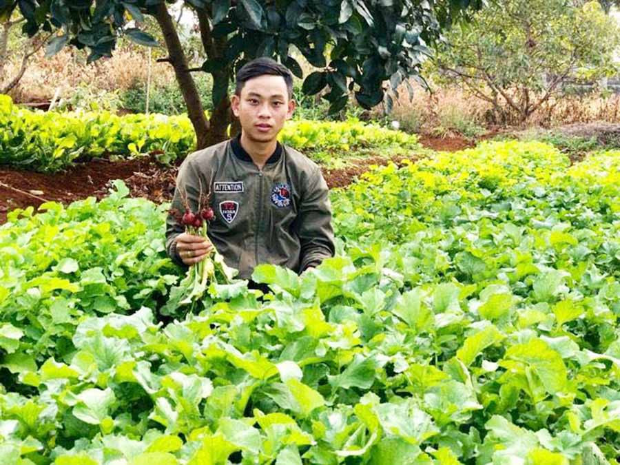 Sinh viên Trần Quốc Dũng khởi nghiệp thành công với dự án sản xuất rau hữu cơ. Ảnh: T.B  Sinh viên Trần Quốc Dũng khởi nghiệp thành công với dự án sản xuất rau hữu cơ. Ảnh: T.B