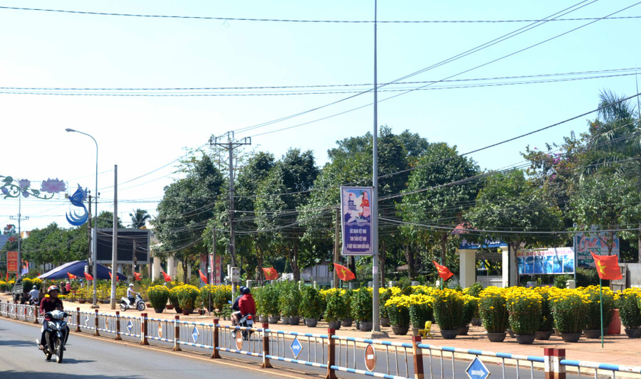 Chợ hoa Xuân huyện Đức Cơ hoa ngập tràn nhưng vắng bóng người mua dù thời khắc giao thừa chỉ còn tính bằng giờ. Ảnh: Lê Hòa