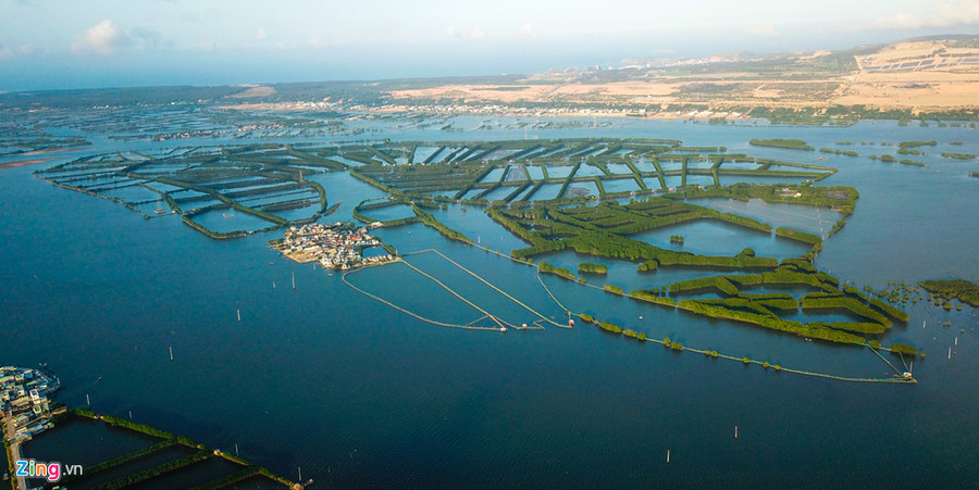 Nằm cách TP Quy Nhơn khoảng 15 km, Cồn Chim ở xã Phước Sơn, huyện Tuy Phước (Bình Định) trông hệt như cánh quạt khổng lồ giữa sông nước mênh mông. Khu sinh thái này nằm giữa đầm Thị Nại có rừng ngập mặn trải rộng hàng trăm ha, trở thành nơi trú ngụ lý tưởng của muôn loài chim.