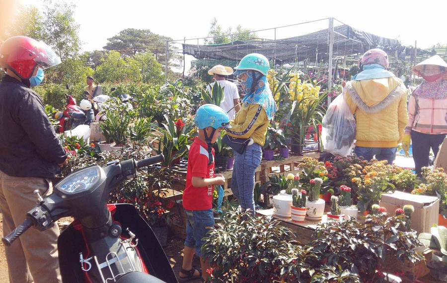 Chợ hoa Tết ngày cuối năm nhộn nhịp hẳn lên. Ảnh: Hà Phương