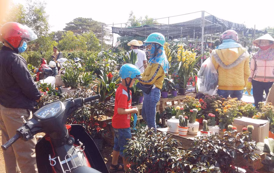 Chợ hoa Tết ngày cuối năm nhộn nhịp hẳn lên. Ảnh: Hà Phương