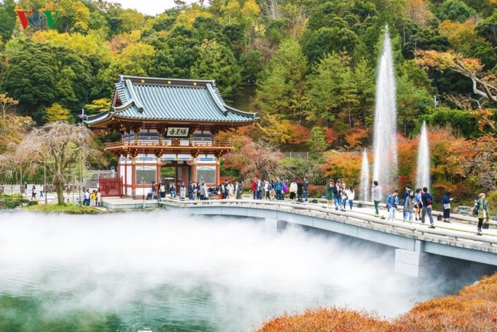 Katsuo-ji là ngôi chùa nằm ở Mino, phía bắc thành phố Osaka. Nằm trên ngọn núi bao phủ bởi những tán phong, đây vốn là nơi ngắm cảnh lá đỏ nổi tiếng nhất Osaka.