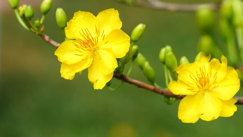 Trong năm mới, mọi người thường gửi nhau những lời chúc Tết an lành, mong cho năm mới nhiều thành công và may mắn. Trong năm mới, mọi người thường gửi nhau những lời chúc Tết an lành, mong cho năm mới nhiều thành công và may mắn.