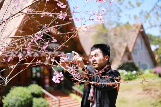 Du khách lưu lại khoảnh khắc mùa xuân