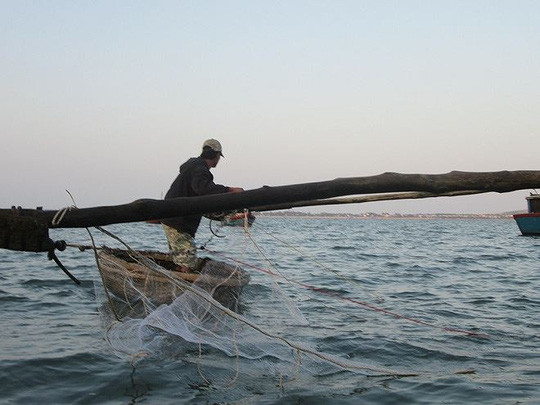 Buông lưới Buông lưới
