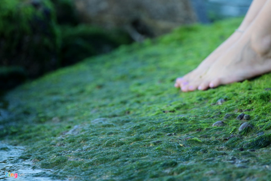 "Rất đẹp. Đến Nha Trang nhiều lần, nhưng năm nay ăn Tết ở đây mới có cơ hội ngắm rêu xanh đẹp như vậy", chị Hoành Như Thương, du khách đến từ TP.HCM nói.