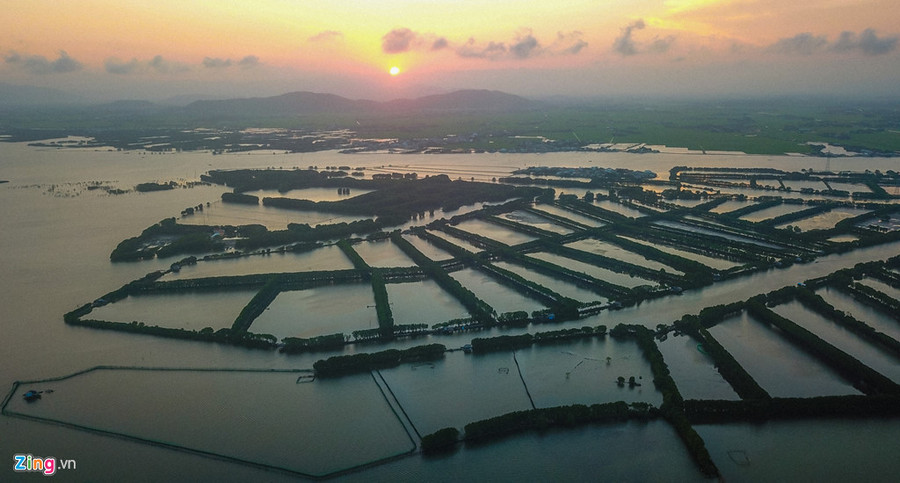  Hoàng hôn buông xuống, nhuộm đỏ mặt đầm cũng là lúc từng đàn chim, cò nối nhau bay về tổ ấm. Du khách ở lại đêm giữa đầm Thị Nại là trải nghiệm tuyệt vời với những trải nghiệm theo người dân ra đầm buông lưới đánh cá, soi cua đêm dưới tán rừng… Bữa ăn khuya dưới tán rừng với nhiều loài thủy sản tươi sống gồm tôm, cua, cá; chén cơm nóng ăn kèm với hải sản hấp luộc chấm với muối ớt, rau sống, mắm nhĩ thơm ngon.