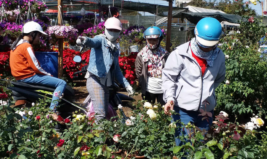 Người bán hoa hồng phấn khởi nhờ đông khách mua. Ảnh: Ngọc Sang