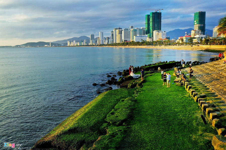  Nằm ngay nhà khách 378 gần cầu Trần Phú, TP Nha Trang một đoạn kè chắn sóng phủ đầy rêu xanh trở thành điểm đến thu hút hàng nghìn người đến tham quan và chụp ảnh mỗi ngày.