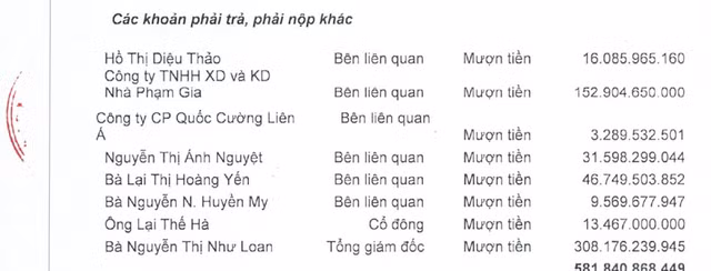 (Nguồn: BCTC QCG)