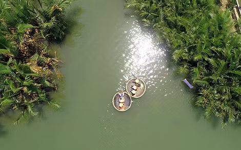  Rừng dừa Bảy Mẫu nhìn từ trên cao.