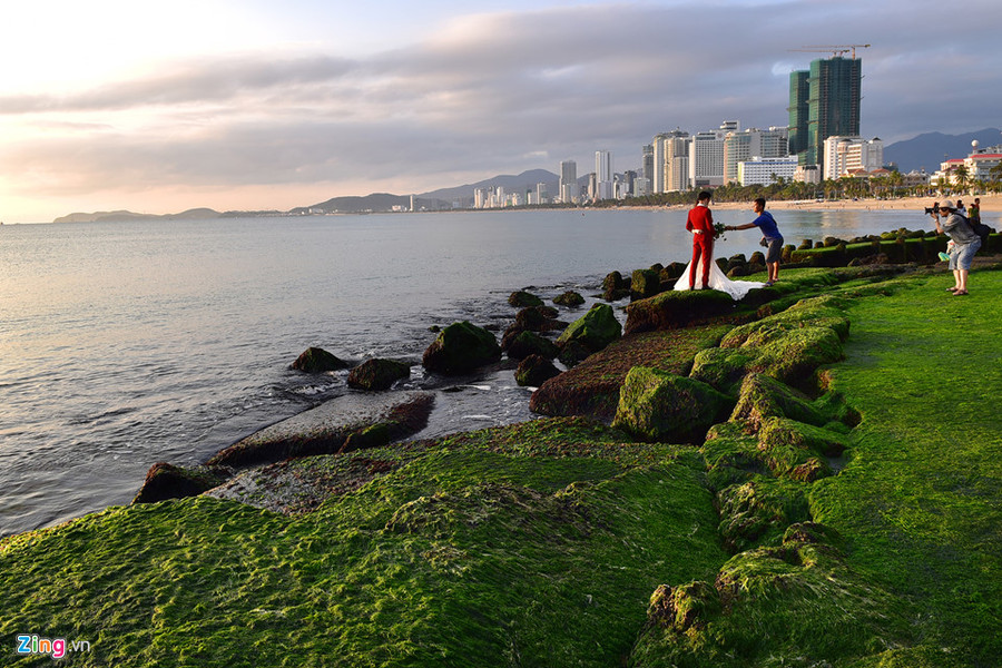 Ngoài du khách, nhiều đôi tình nhân cũng tranh thủ dịp này tìm về Nha Trang để chụp ảnh cưới. 