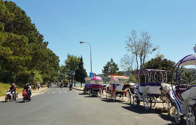  Dịch vụ xe ngựa quanh hồ Xuân Hương đã thưa vắng du khách