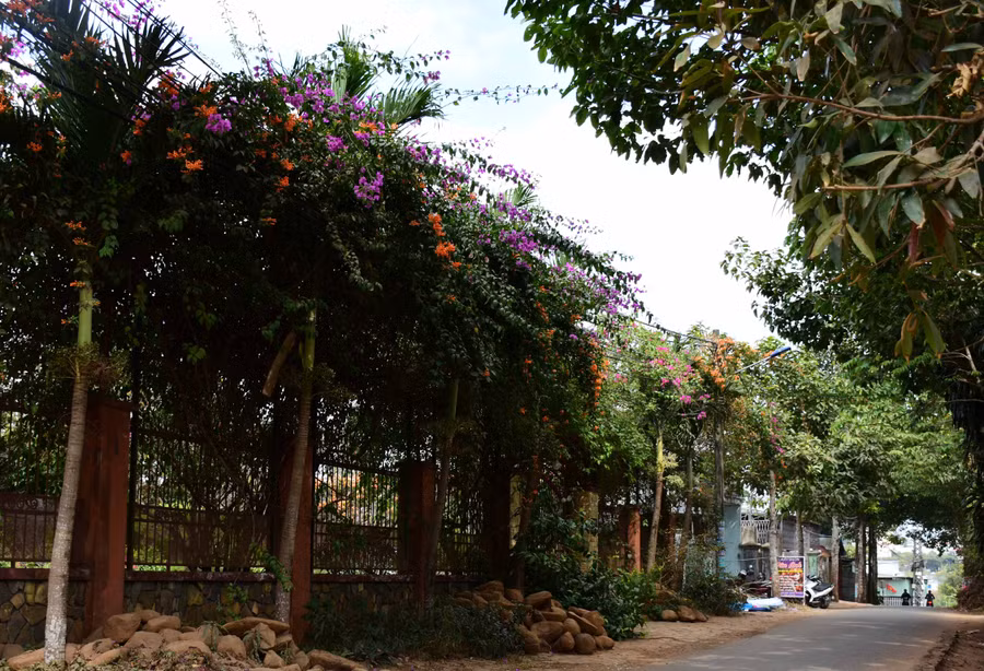 Một góc đường ngoại ô Pleiku. Ảnh: Thất Sơn