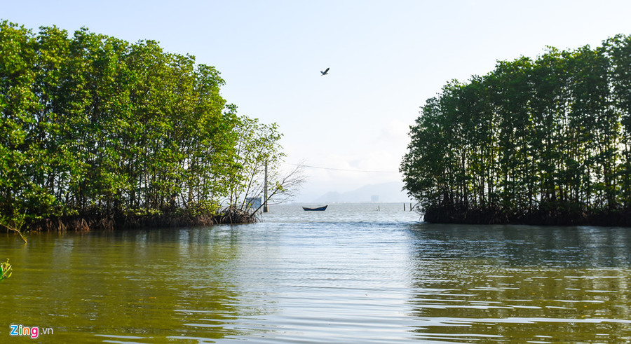  Lối vào khu rừng ngập mặn trông hệt cánh cửa mở toang giữa đầm Thị Nại đón chào du khách.