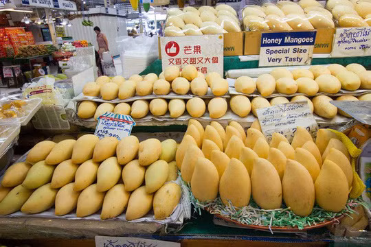  Những trái xoài căng đầy và thơm ngon