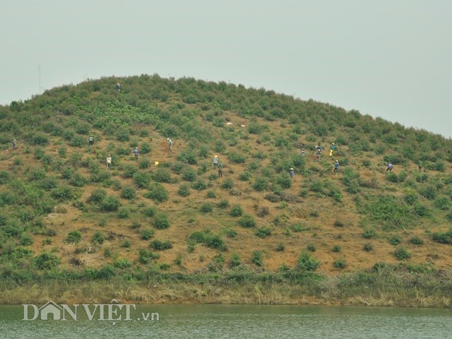 Cây cối nơi đây được người dân bản địa chăm sóc.